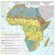 Хозяйство центральной африки Что выращивают в западной африке